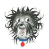 Hairy Maclary
